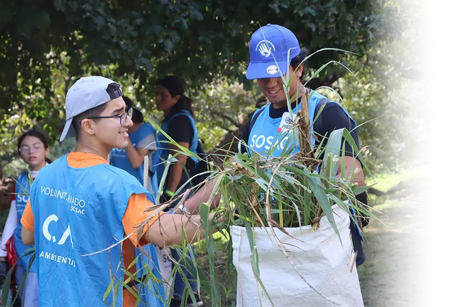 COMMUNITY AND ENVIRONMENT